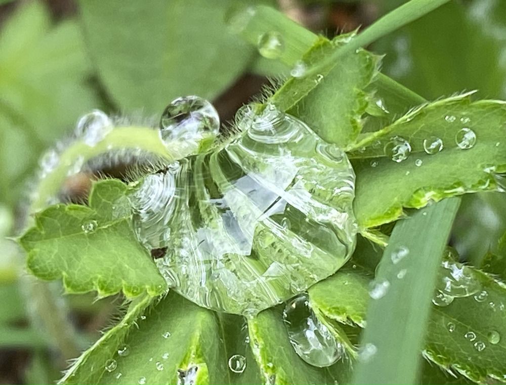 Photograph by Ольга Шабалина