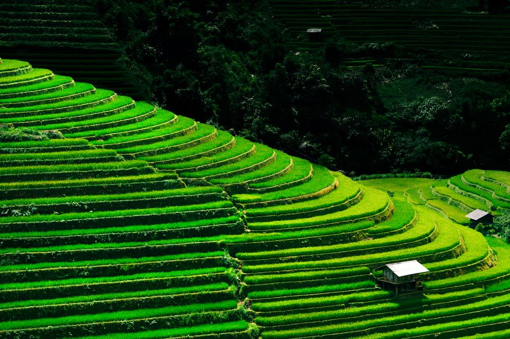 Photograph by Adrian Grigore