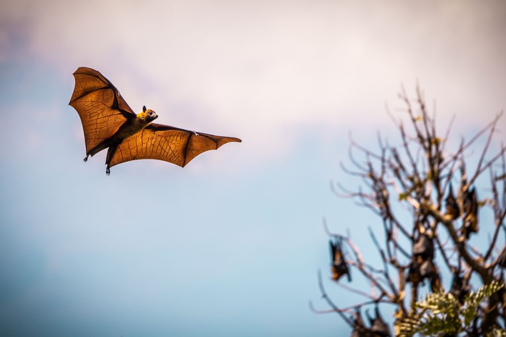 Photograph by Adrian Grigore