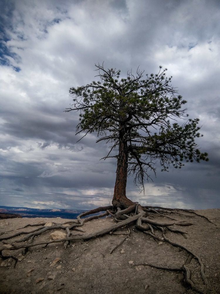 Photograph by Manish (Valmie) Joshi