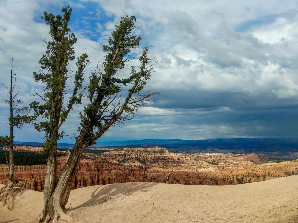 Photograph by Manish (Valmie) Joshi