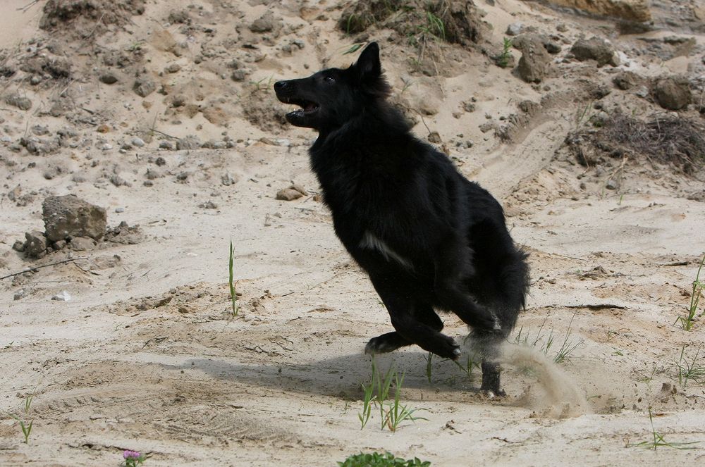 Фотография автора Надежда Лисицына