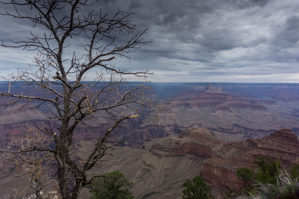 Photograph by Manish (Valmie) Joshi