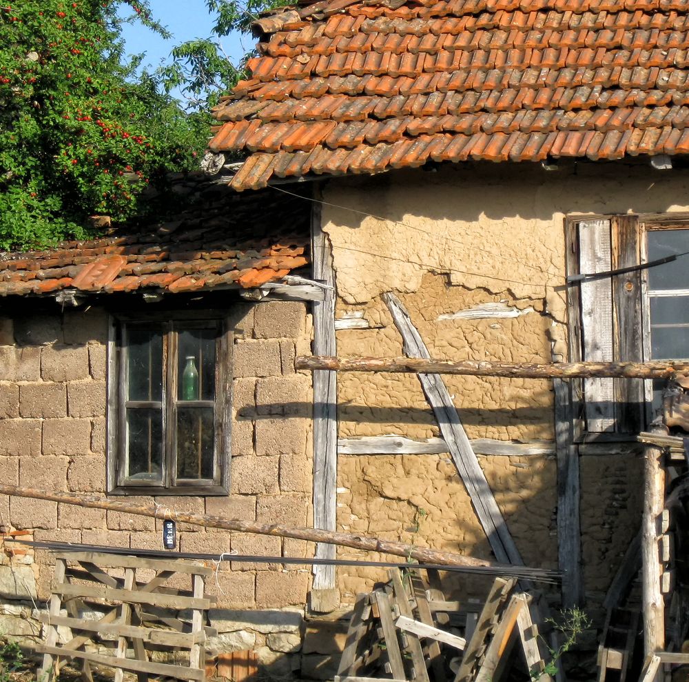 Фотография автора Milena Ivanova