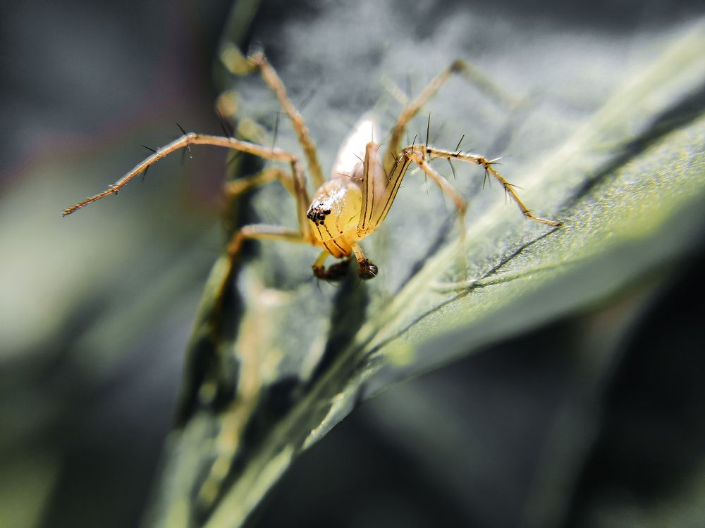 Photograph by prashant bamnawat