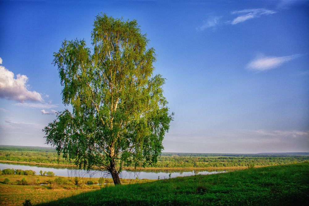 Photograph by Алексей Трифонов