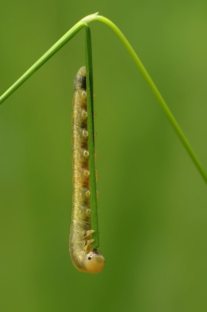 Photograph by Павел Колеснев