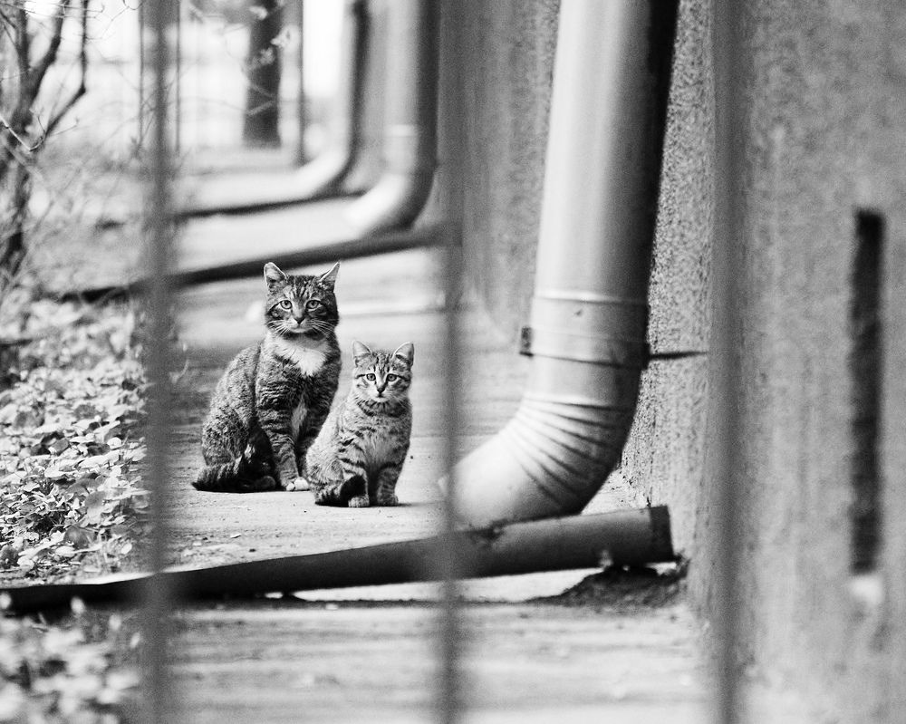 Photograph by Marina Busto