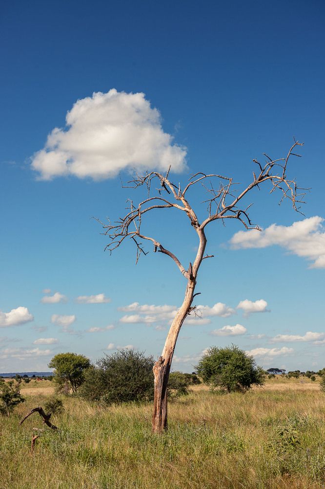 Photograph by Низовцева Елена