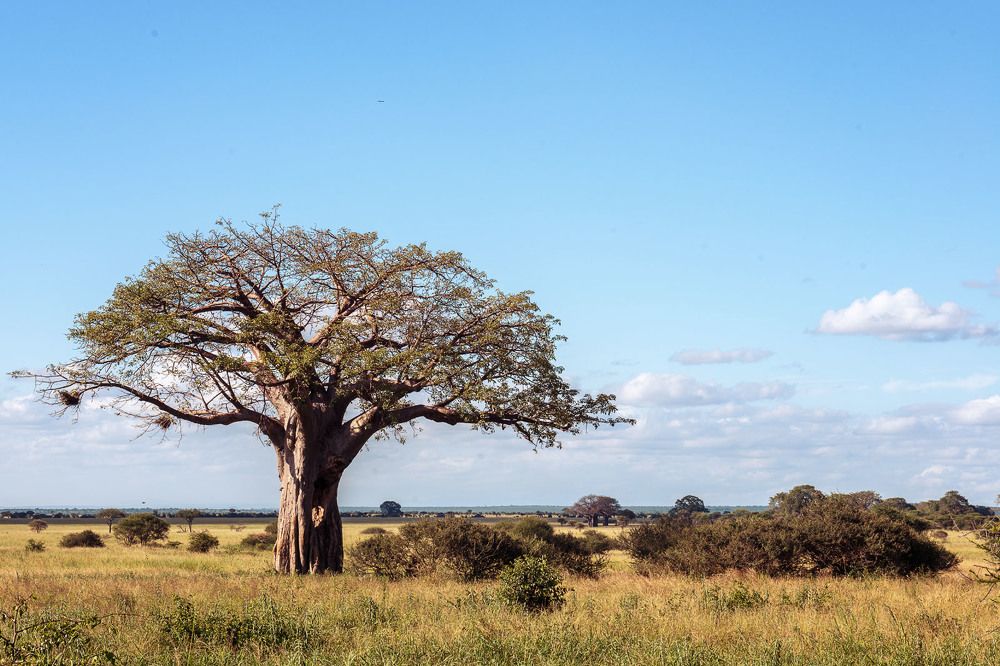Photograph by Низовцева Елена