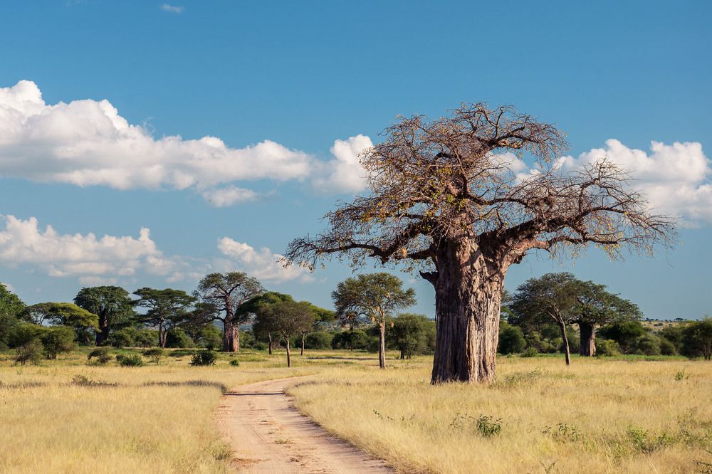 Photograph by Низовцева Елена