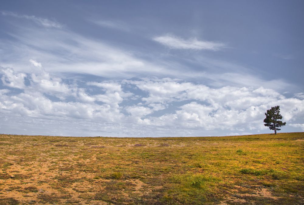 Photograph by Игорь Толкачев