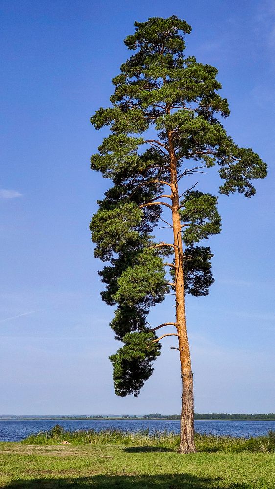 Photograph by Александр Шершнев