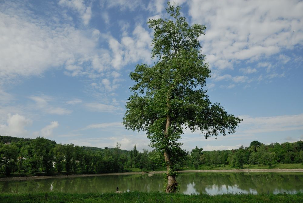 Фотография автора Дмитрий Referee