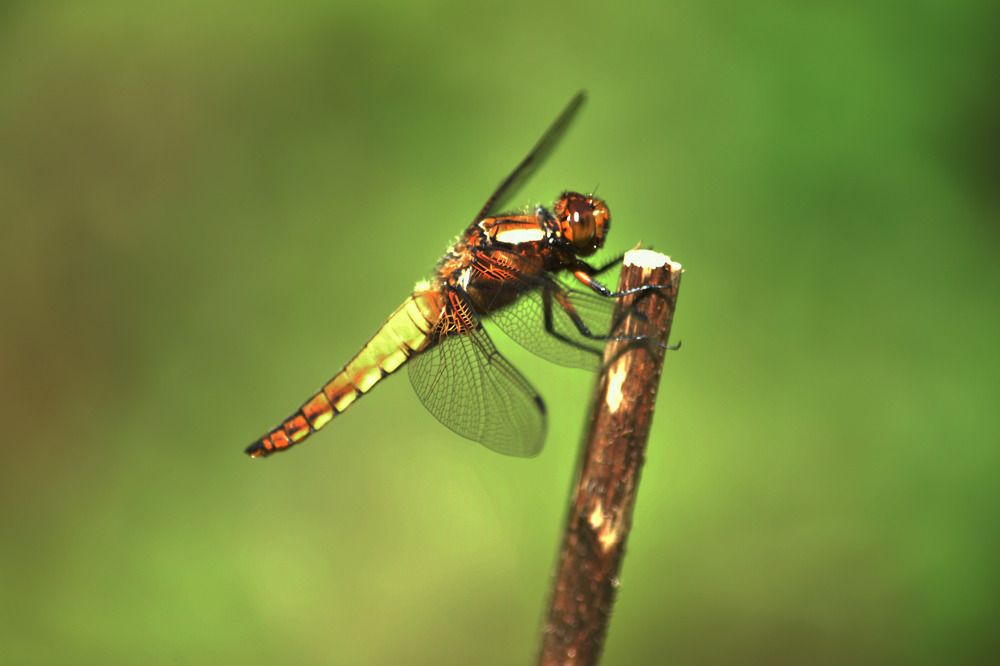 Photograph by huseyinesen76