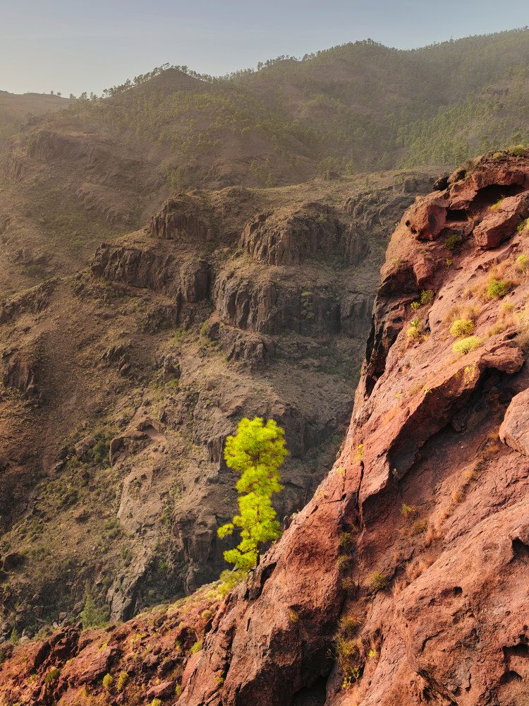 Фотография автора Vasilev Kris