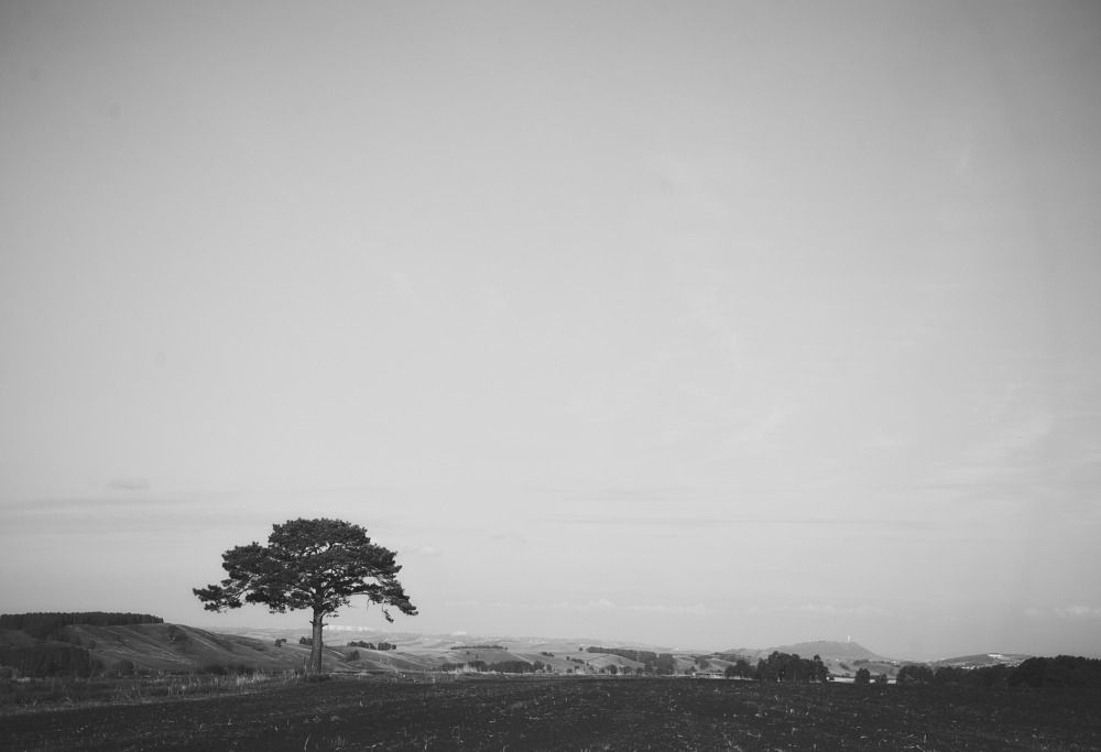 Photograph by Игорь Черемных