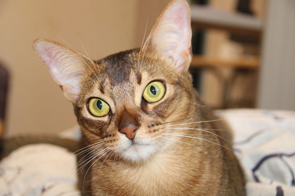 Photograph by Людмила Лапытова