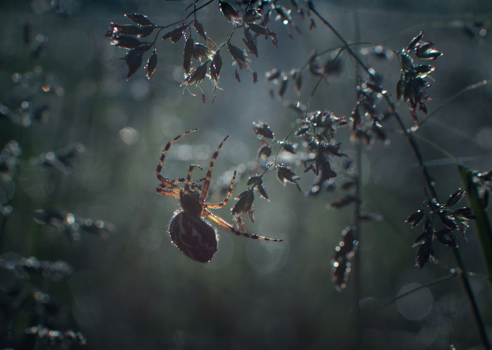 Photograph by Баранов Олег