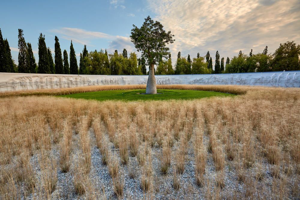 Фотография автора Totoro D