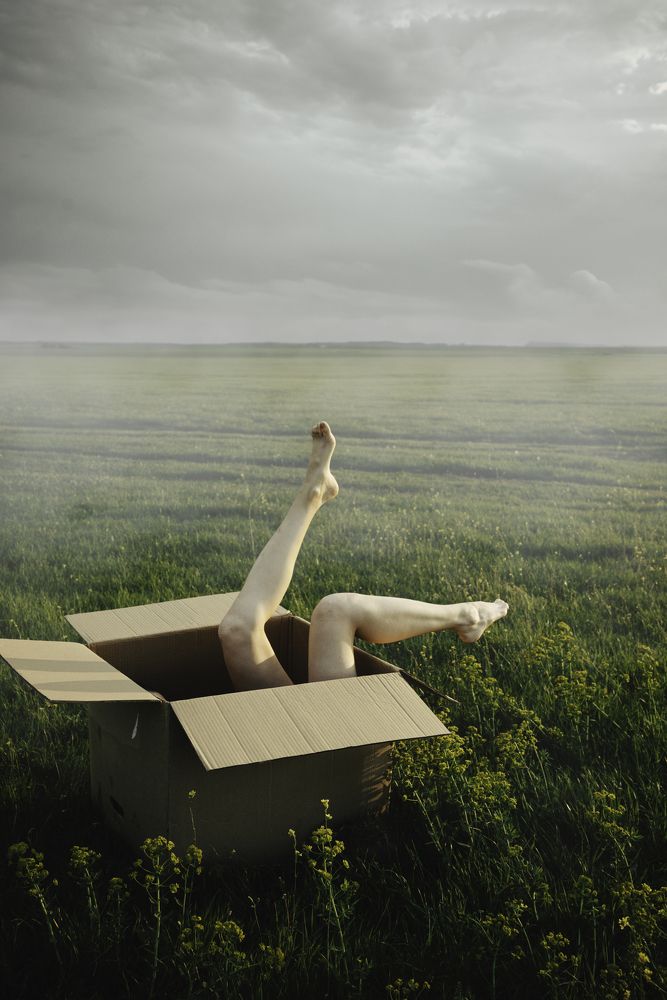 Photograph by Ксения Коляниченко