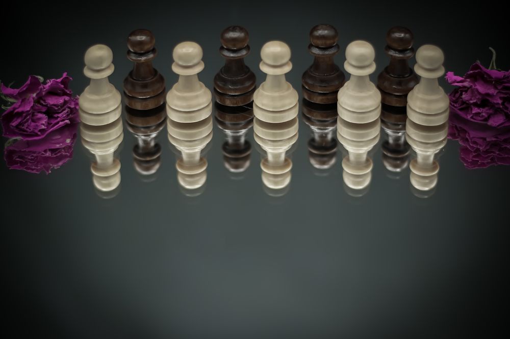 Photograph by romina moniri