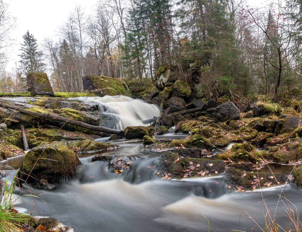 Photograph by Елена Ромадова