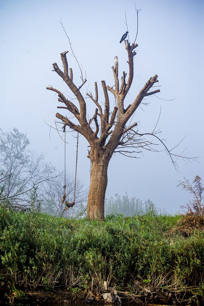 Photograph by Youssef Sabry