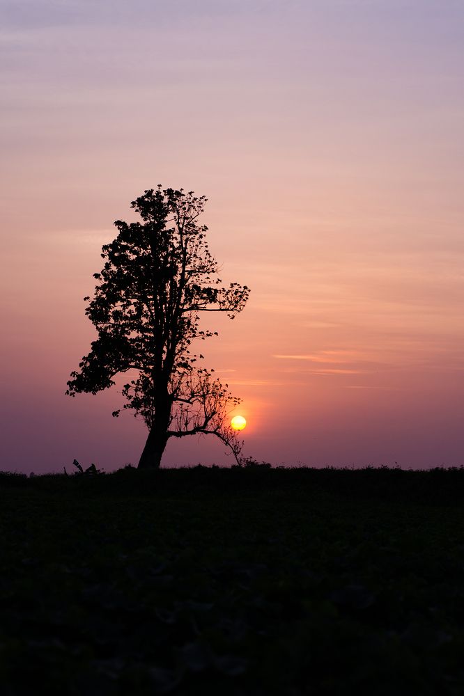 Photograph by Ninh Quốc Trịnh
