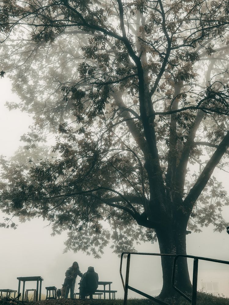 Фотография автора Олеся Николаевна