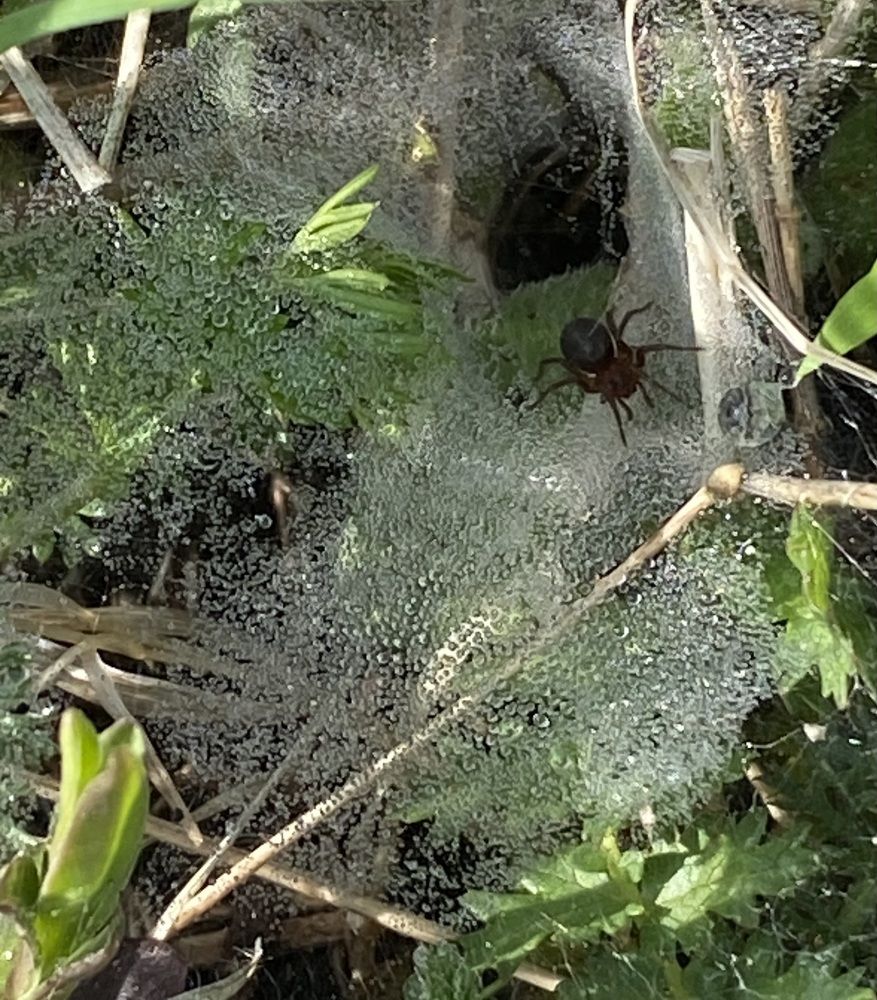 Photograph by Ольга Шабалина