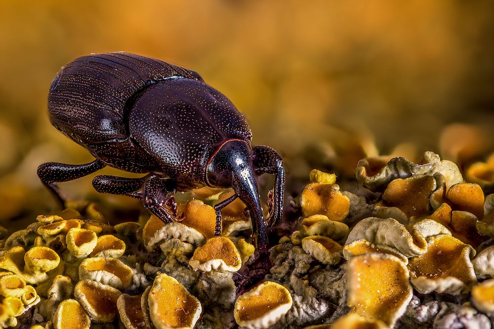 Photograph by Юрий Яковлевич