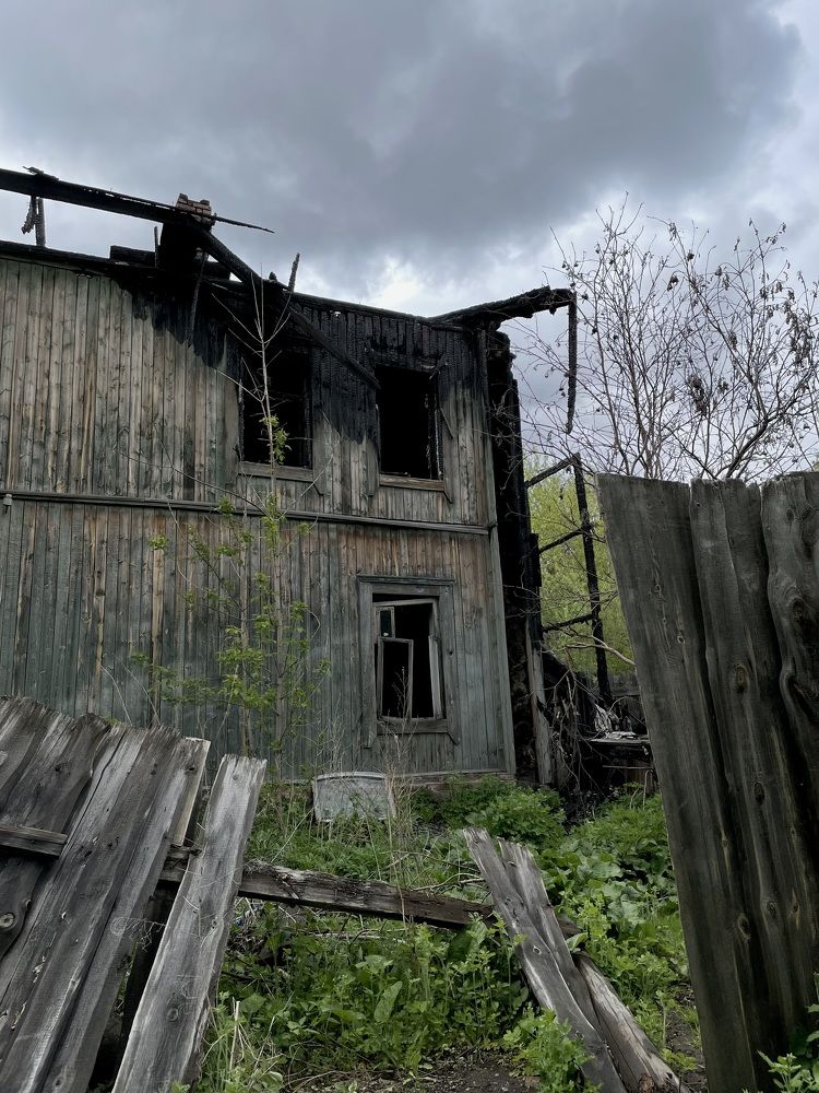 Photograph by Елена Фаворская