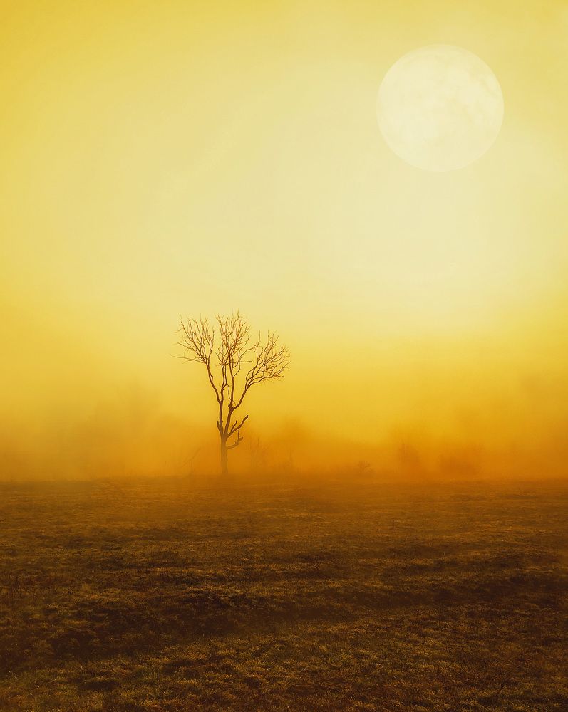 Photograph by Буданова Мария