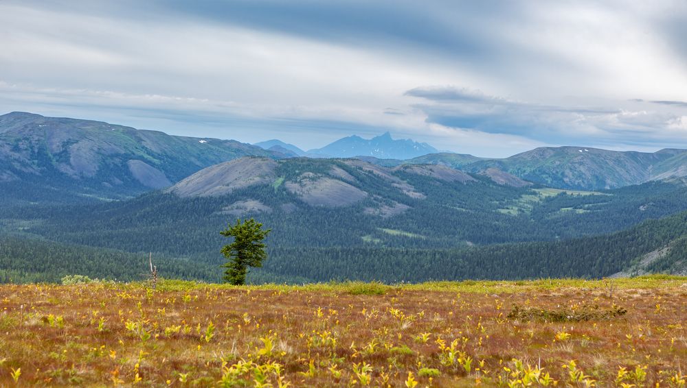 Photograph by Сергей Фомин