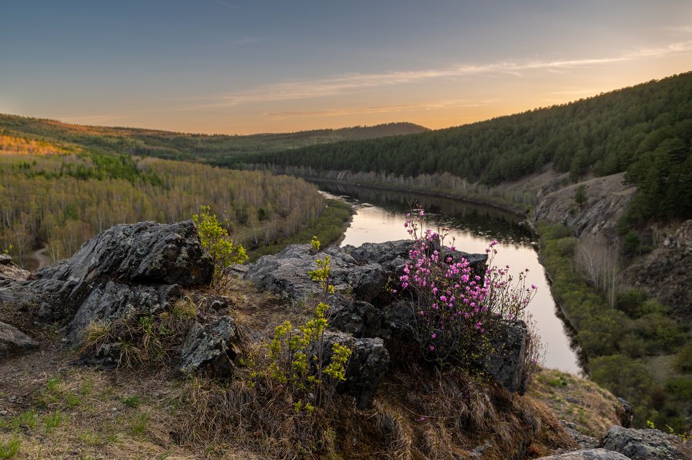 Photograph by Алексей Александрович
