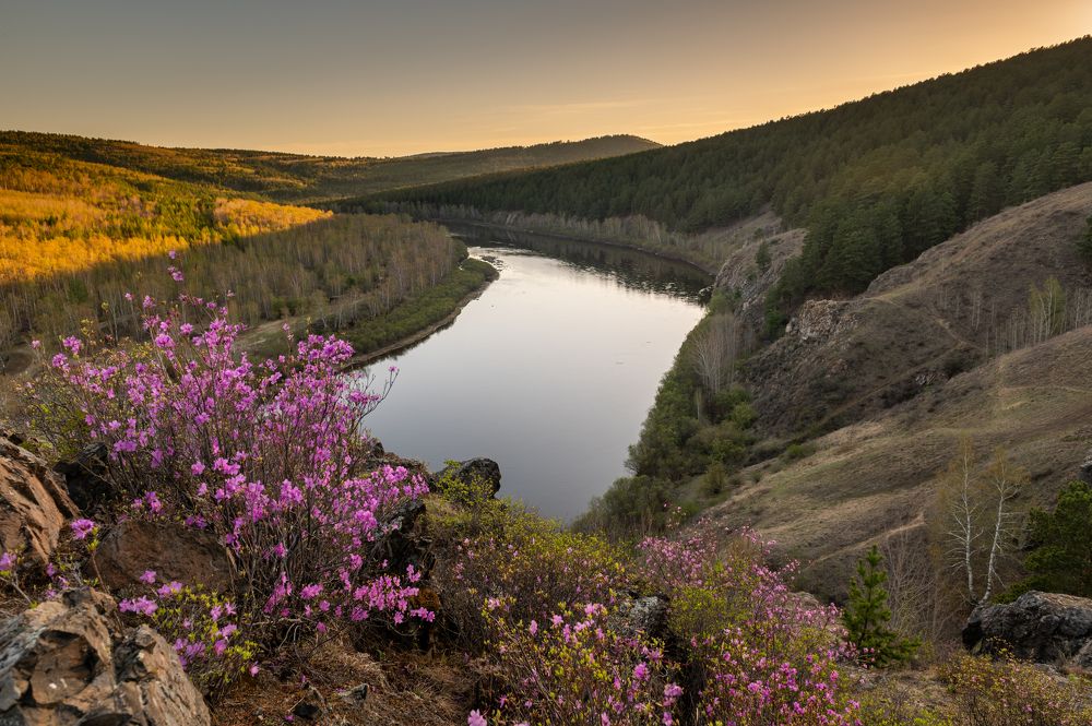 Photograph by Алексей Александрович