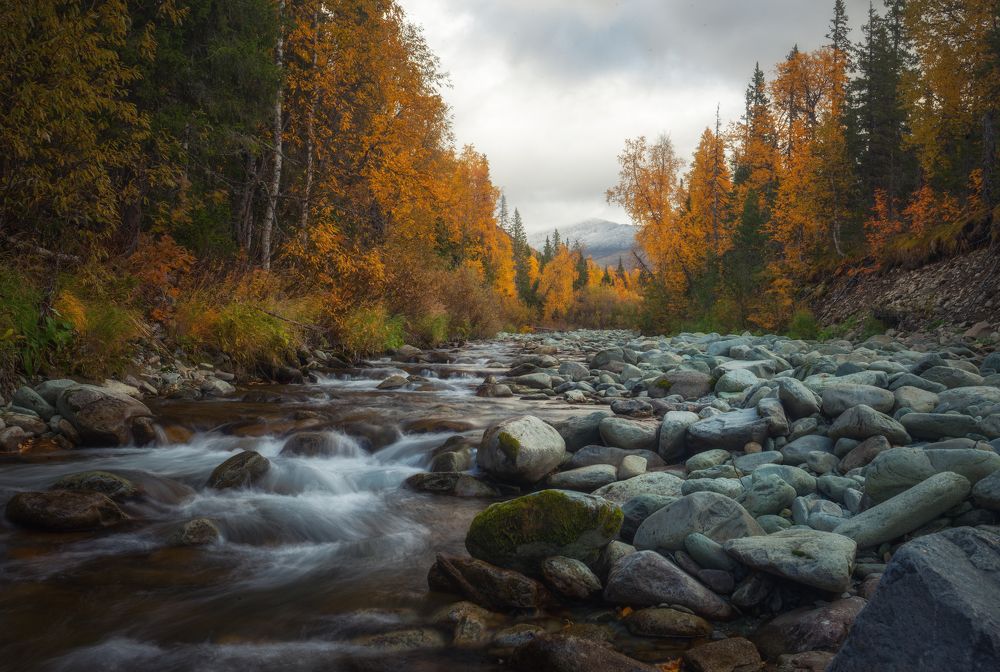 Photograph by Сергей Фомин