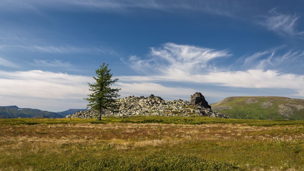 Photograph by Сергей Фомин