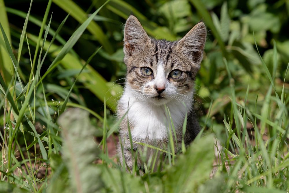 Photograph by Михаил Корнеев