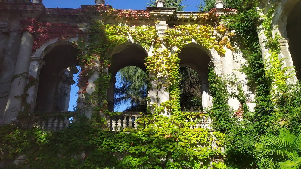 Photograph by Елена Смирнова