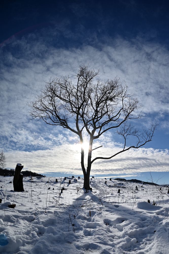 Фотография автора Дмитрий Referee
