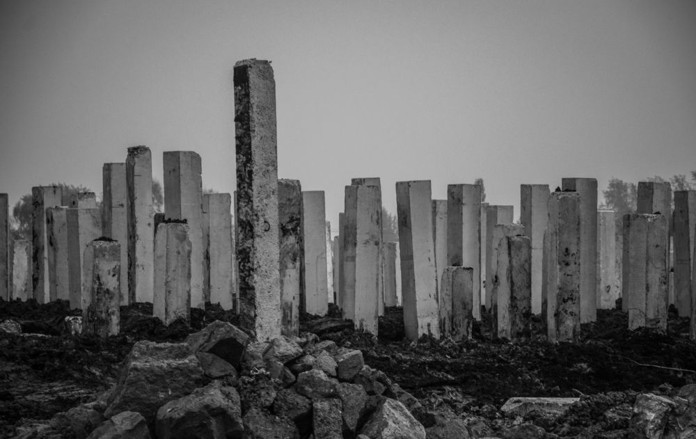 Photograph by Света Назарова