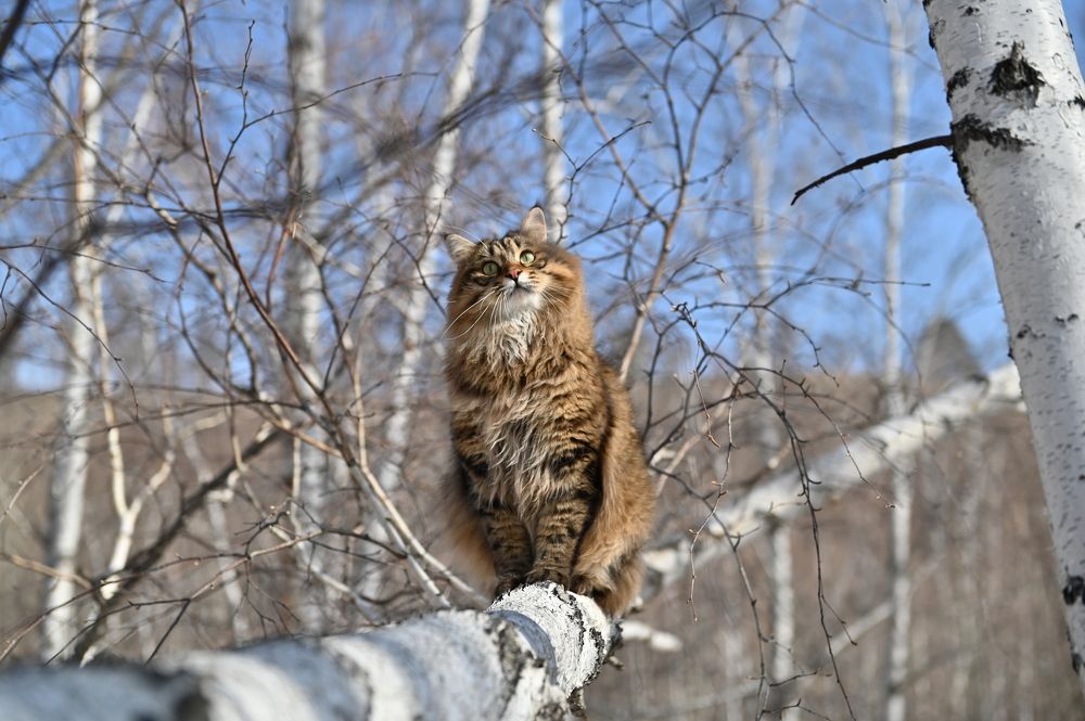 Photograph by Алексей Александрович