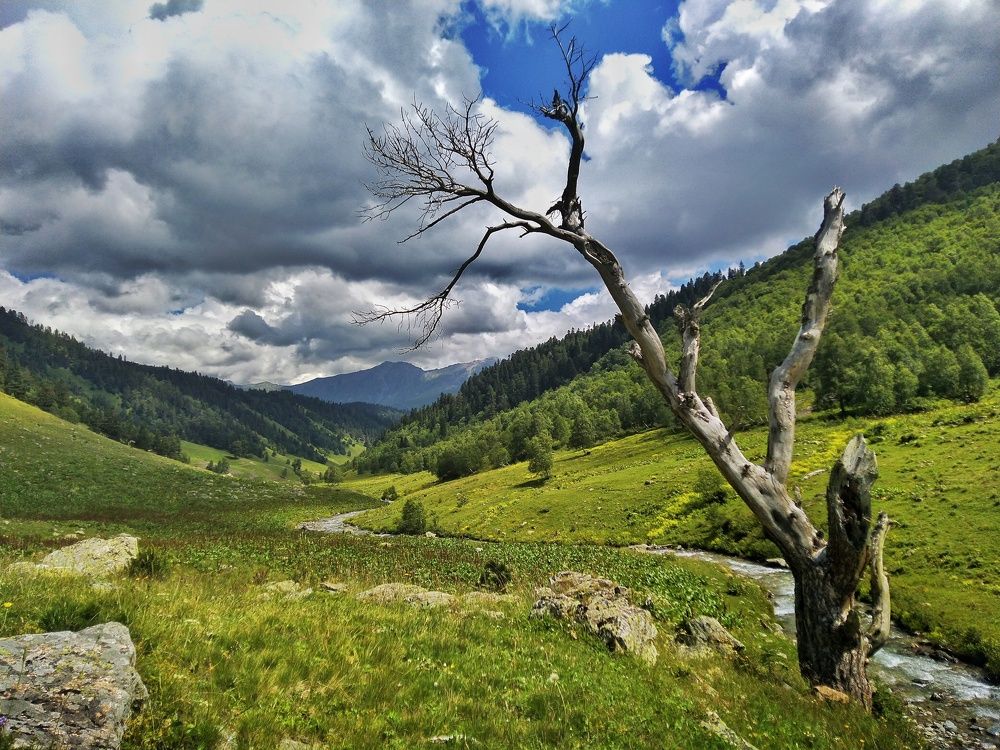 Photograph by Зорин Миша