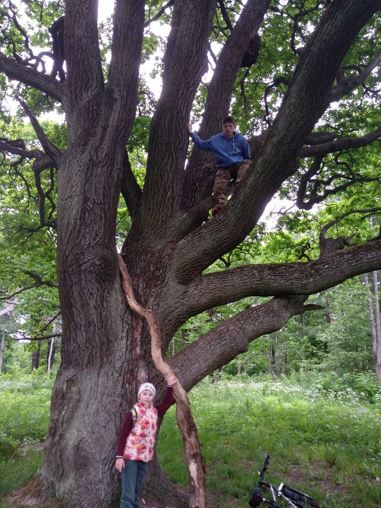 Photograph by Вера Морозова