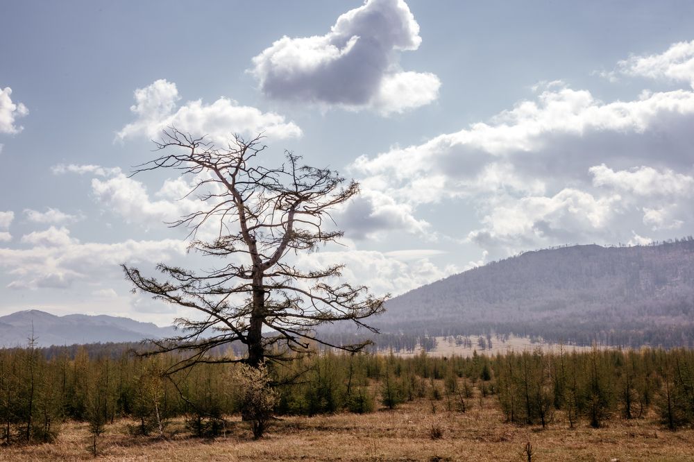 Photograph by Корчагина Оксана