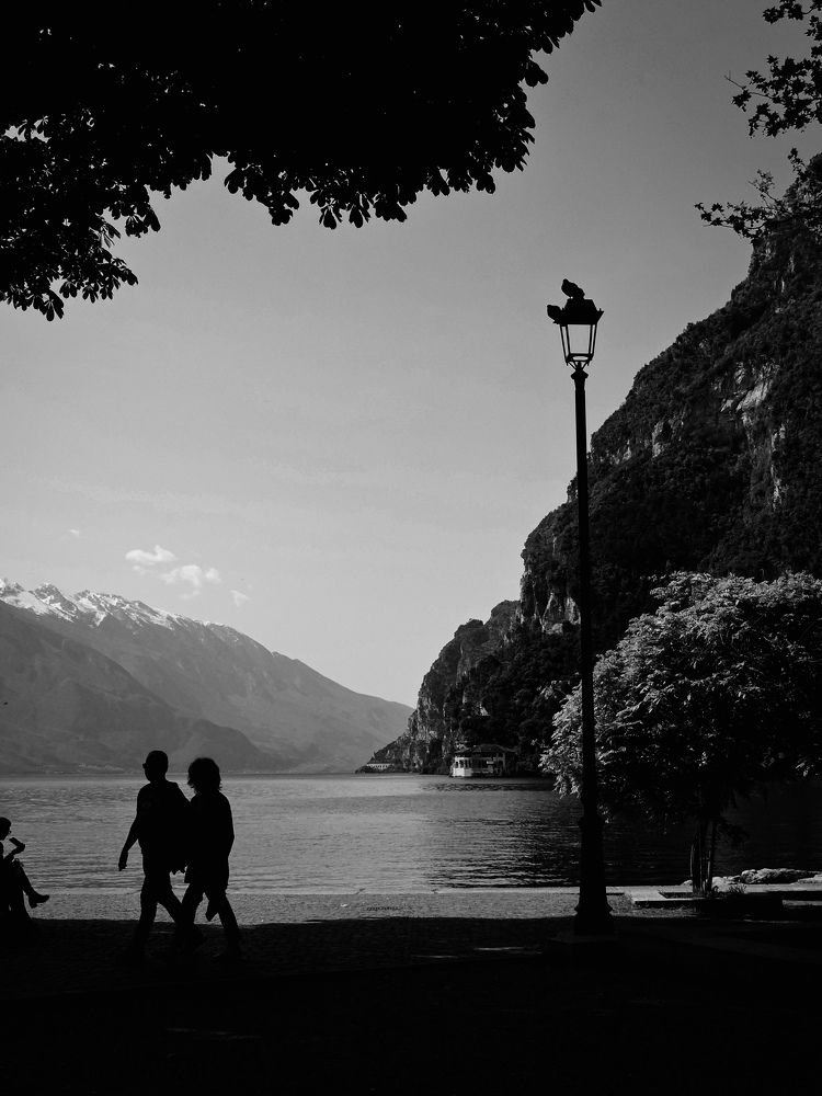 Photo #10639831
