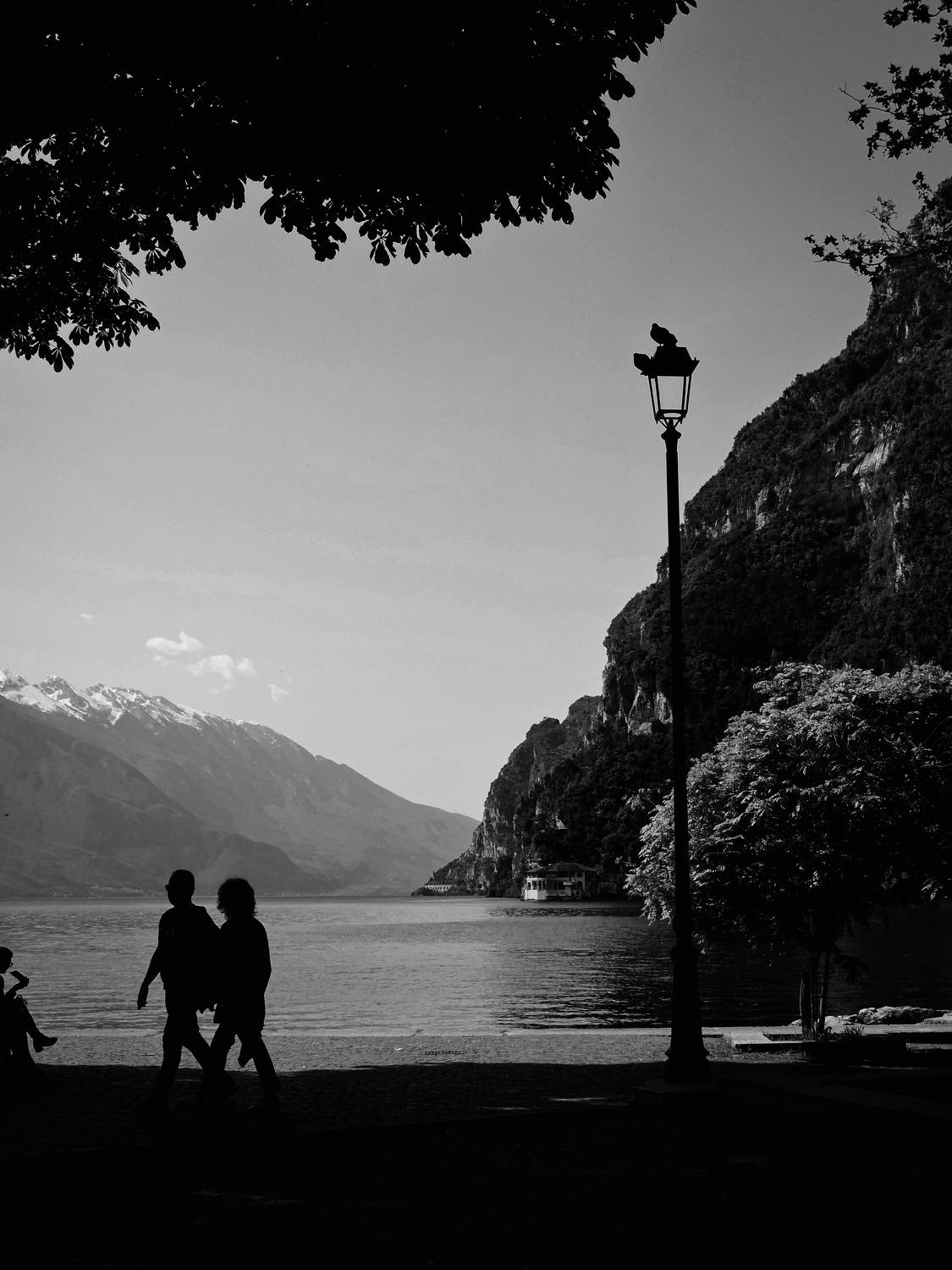 Photo #10639831