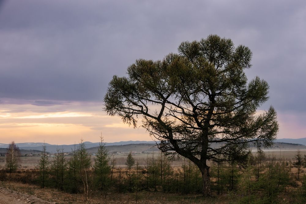 Photograph by Корчагина Оксана